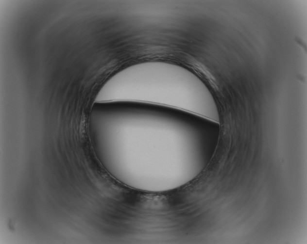 X0000091880073200709121421