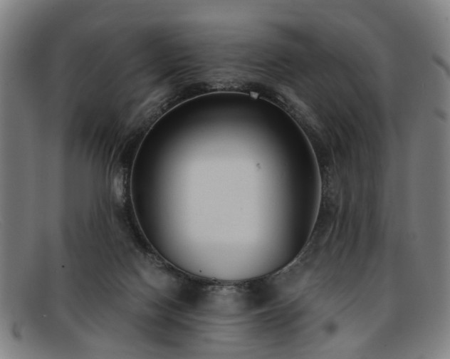 X0000091880074200709121421