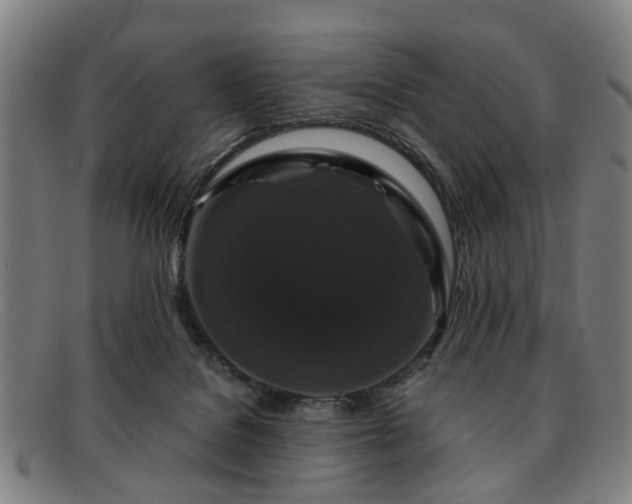 X0000091880076200709121421