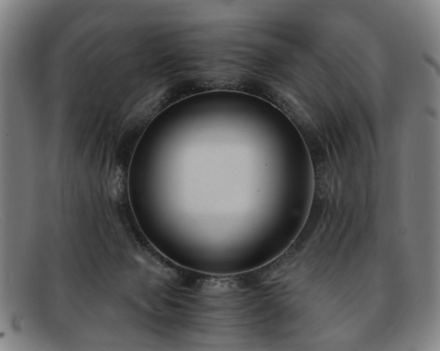 X0000091880077200709121421