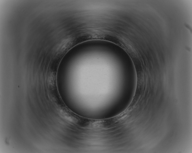 X0000091880078200709121421