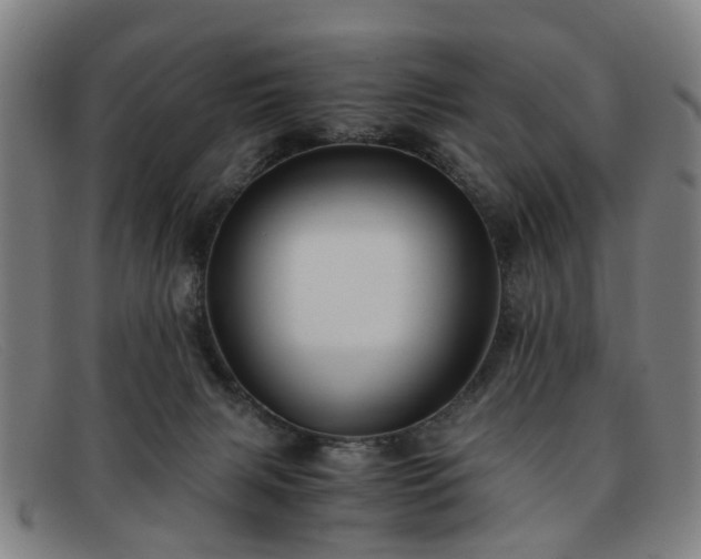 X0000091880079200709121421