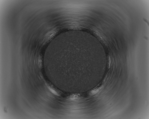 X0000091880080200709121421