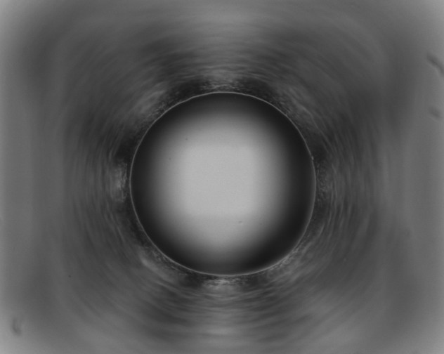 X0000091880082200709121421