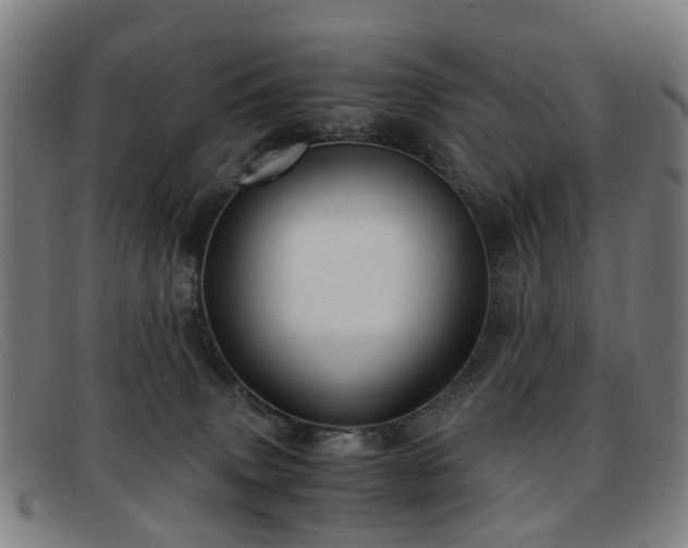 X0000091880083200709121421