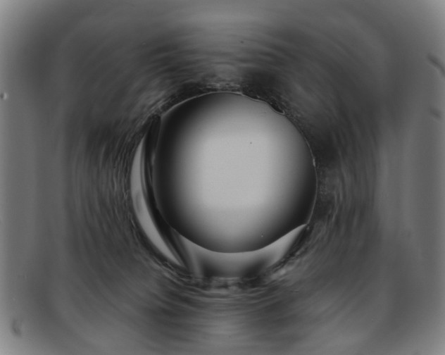 X0000091880084200709121421