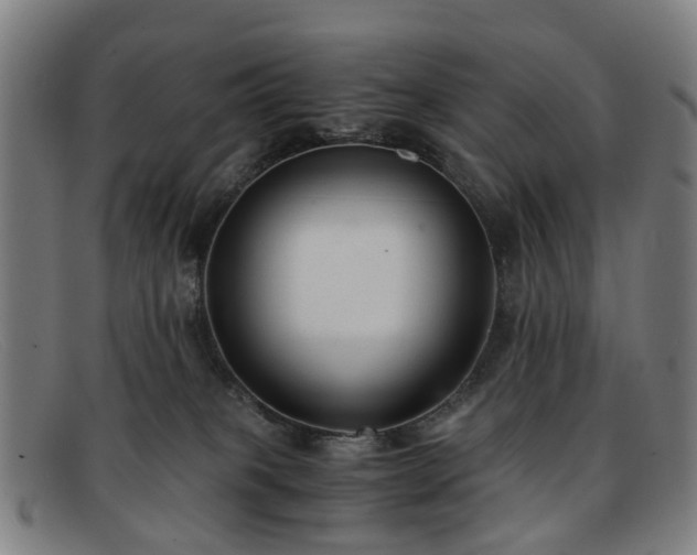 X0000091880085200709121421