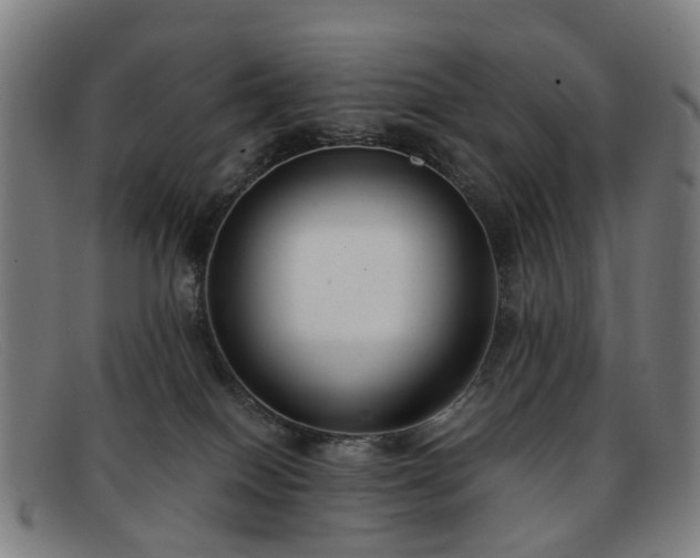 X0000091880086200709121421