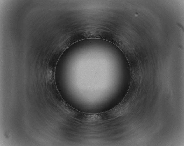 X0000091880087200709121421