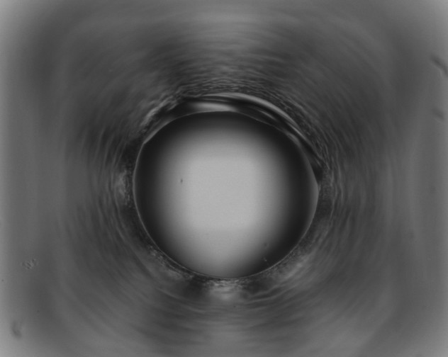 X0000091880088200709121421