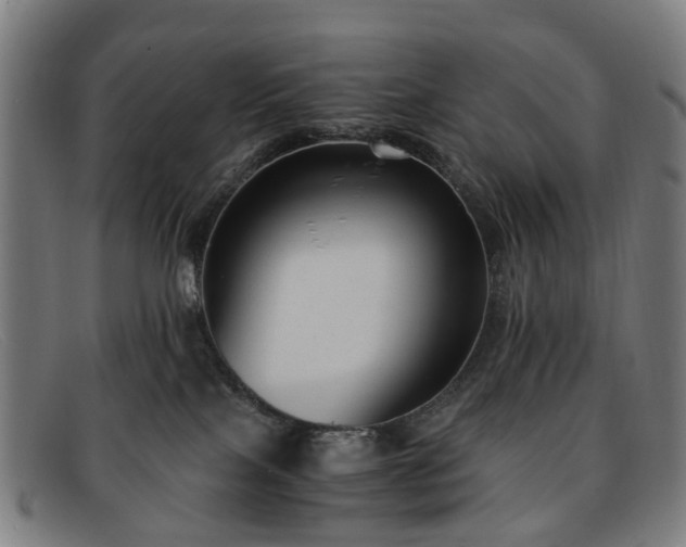 X0000091880089200709121421