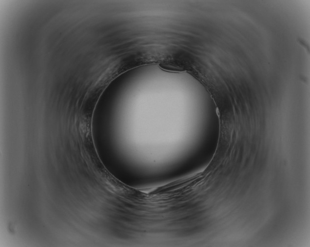 X0000091880091200709121421