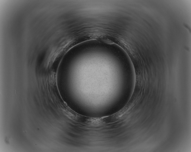 X0000091880093200709121421