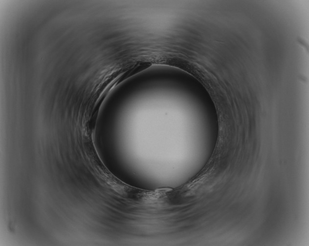 X0000091880096200709121421