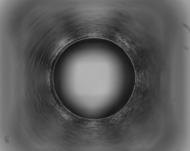 X0000091880098200709121421