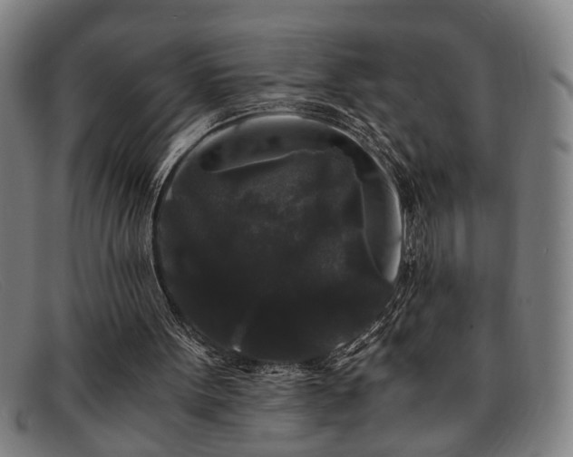 X0000091880099200709121421