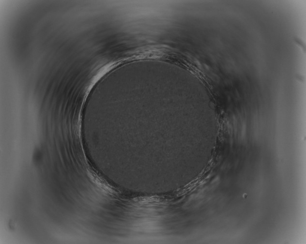 X0000091880100200709121421