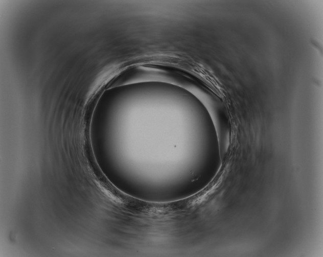 X0000091880101200709121421