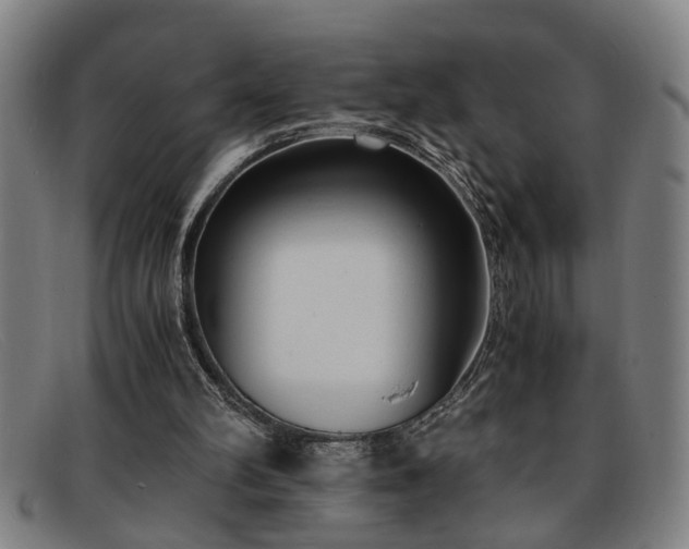 X0000091880102200709121421