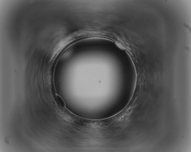 X0000091880103200709121421