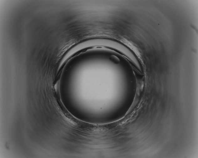 X0000091880105200709121421