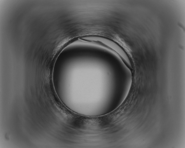 X0000091880107200709121421