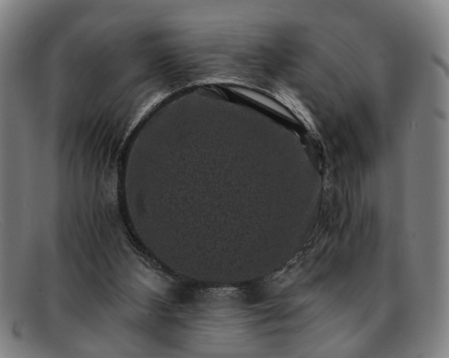 X0000091880108200709121421