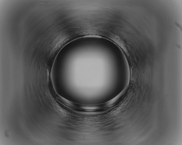 X0000091880109200709121421