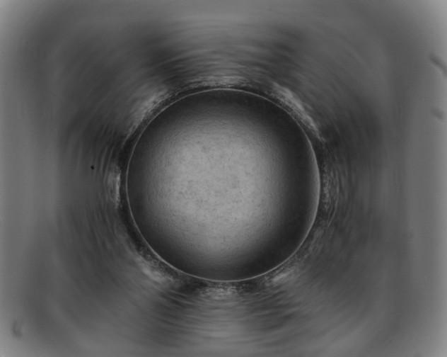 X0000091880110200709121421