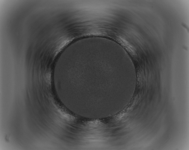 X0000091880112200709121421