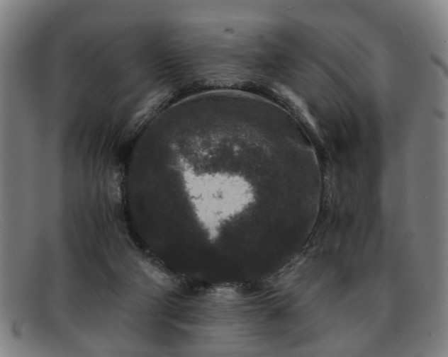 X0000091880114200709121420