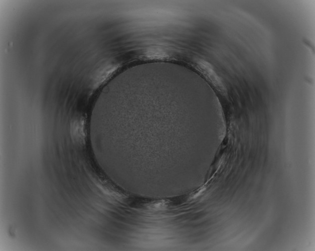 X0000091880116200709121420