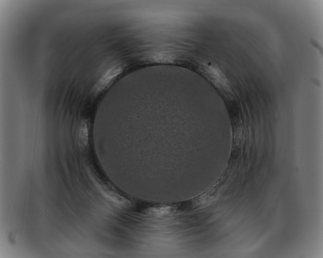 X0000091880120200709121420