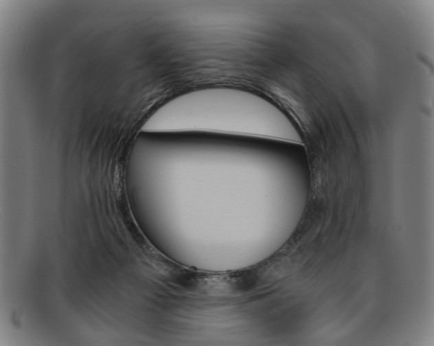 X0000091880121200709121420