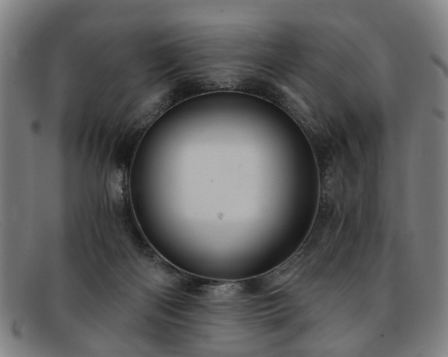 X0000091880122200709121420