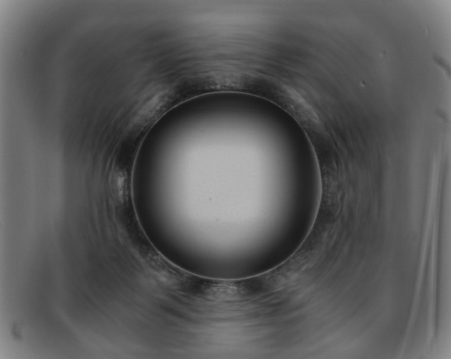 X0000091880123200709121420