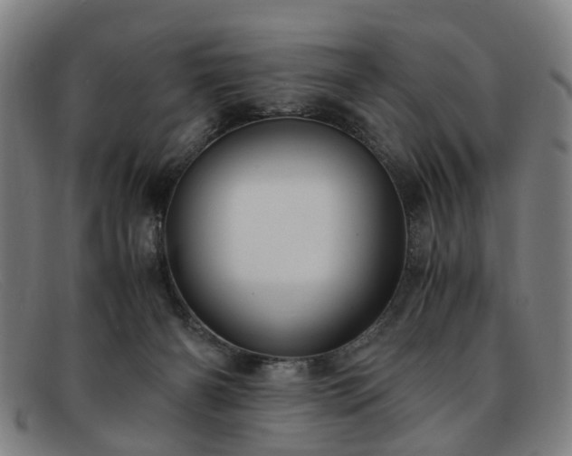 X0000091880126200709121420