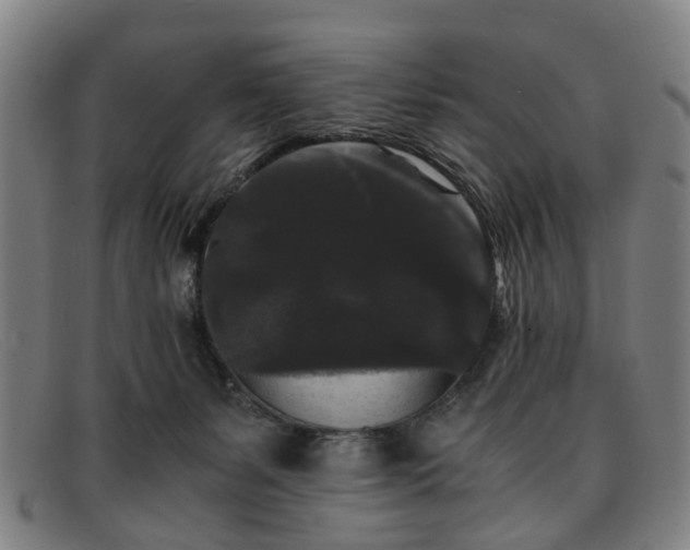 X0000091880127200709121420