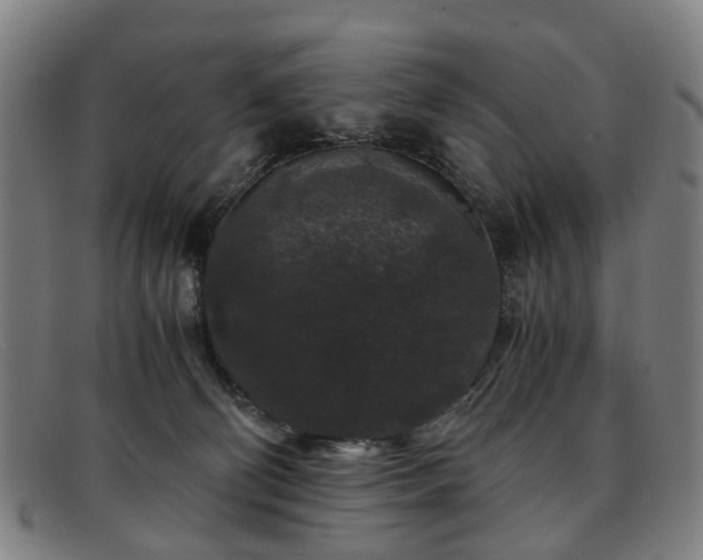 X0000091880130200709121420