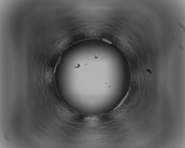 X0000091880133200709121420