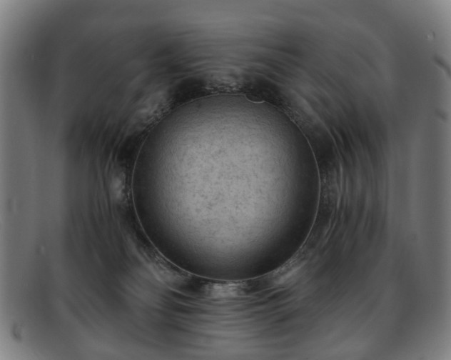 X0000091880134200709121420