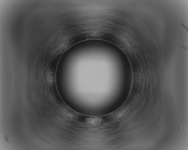 X0000091880135200709121420