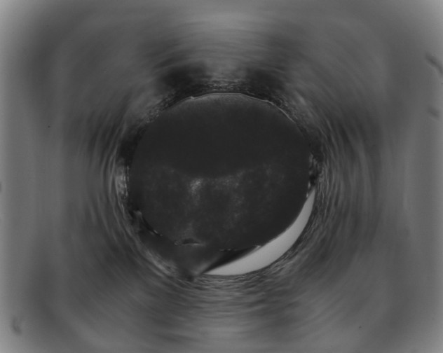 X0000091880137200709121420