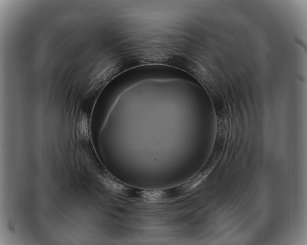 X0000091880143200709121420