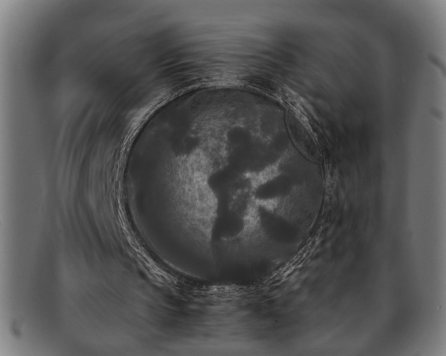 X0000091880145200709121420