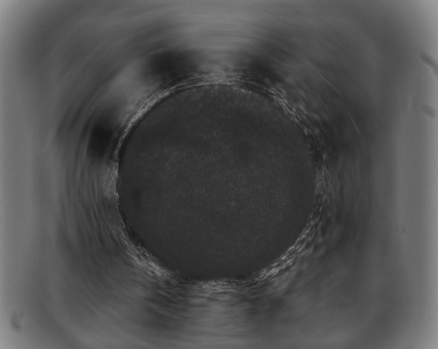 X0000091880146200709121420