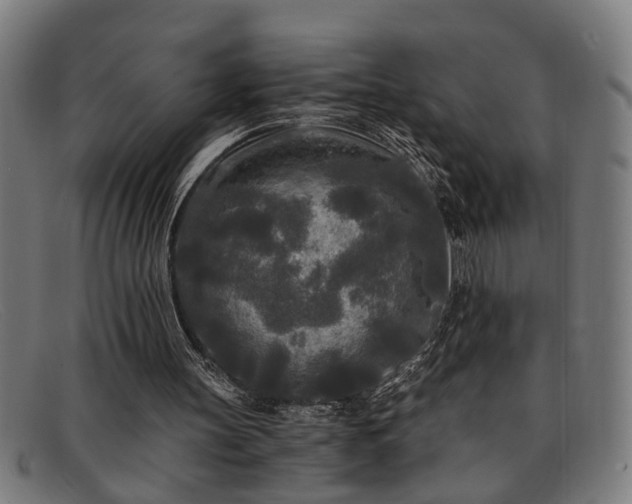 X0000091880147200709121420