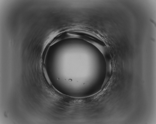 X0000091880152200709121420