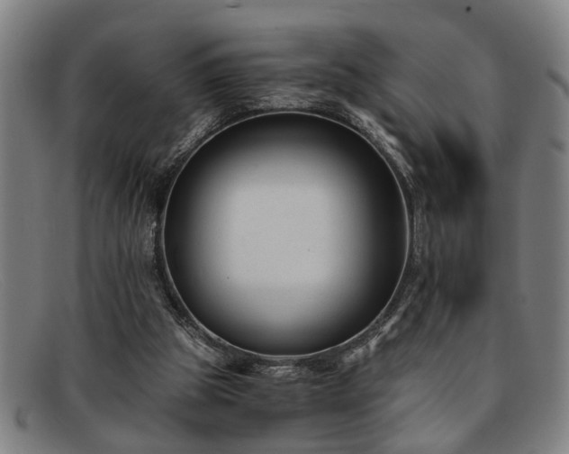 X0000091880153200709121420