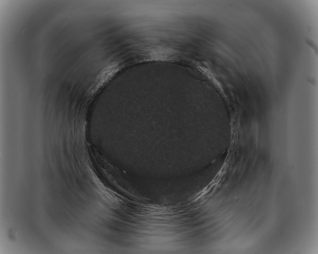 X0000091880154200709121420